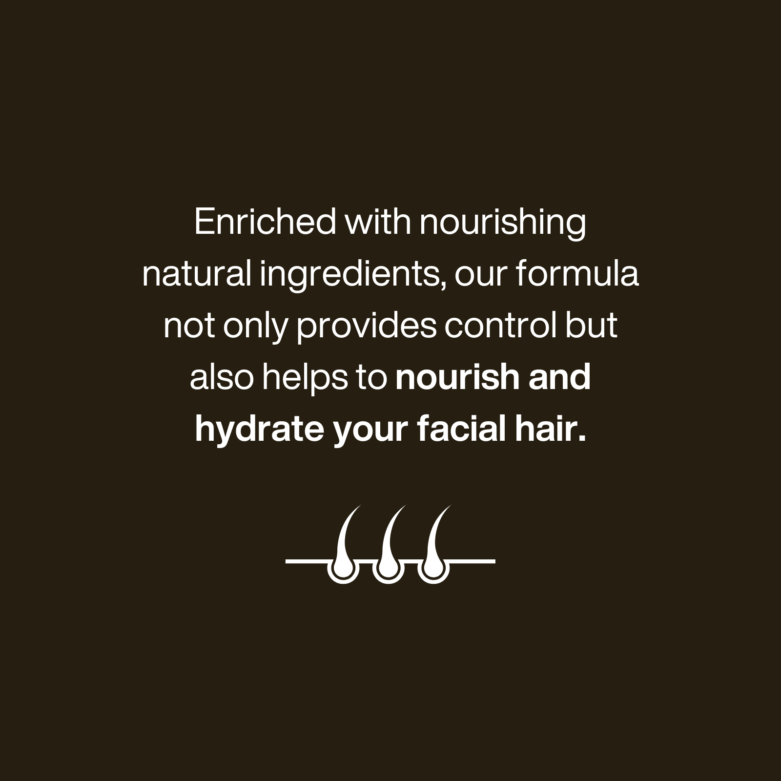 Blackspice Beard Control 100ml