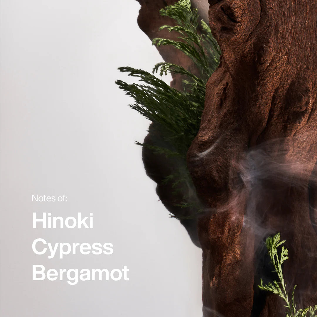 Hinoki Wood Scent Duo