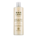 Aloe &amp; Kiefer Duschgel 500ml 